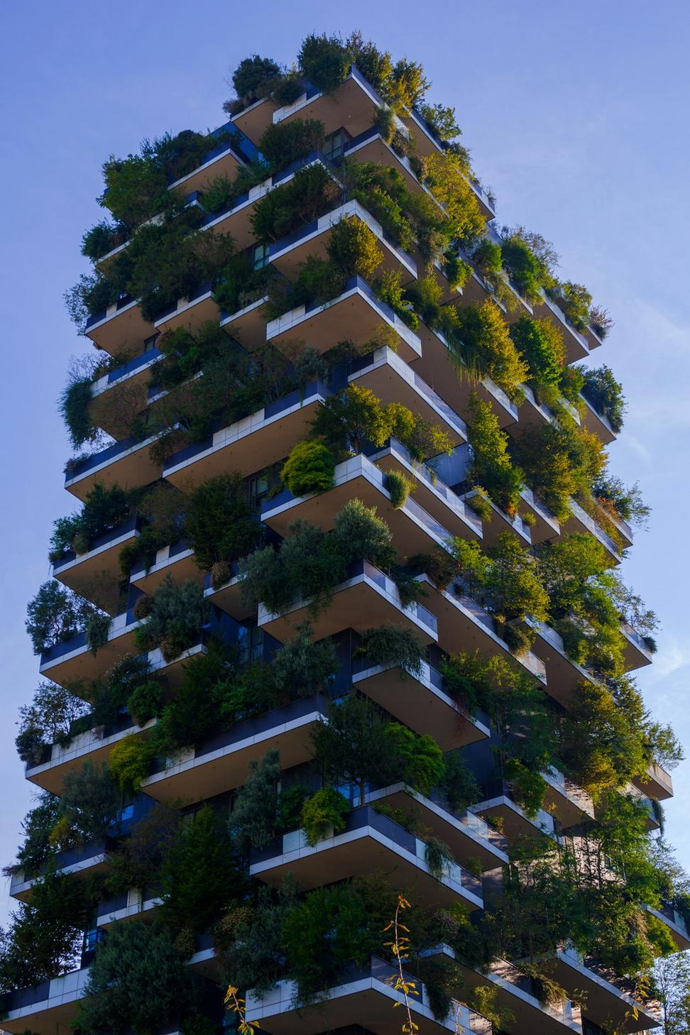 Sustainable architecture