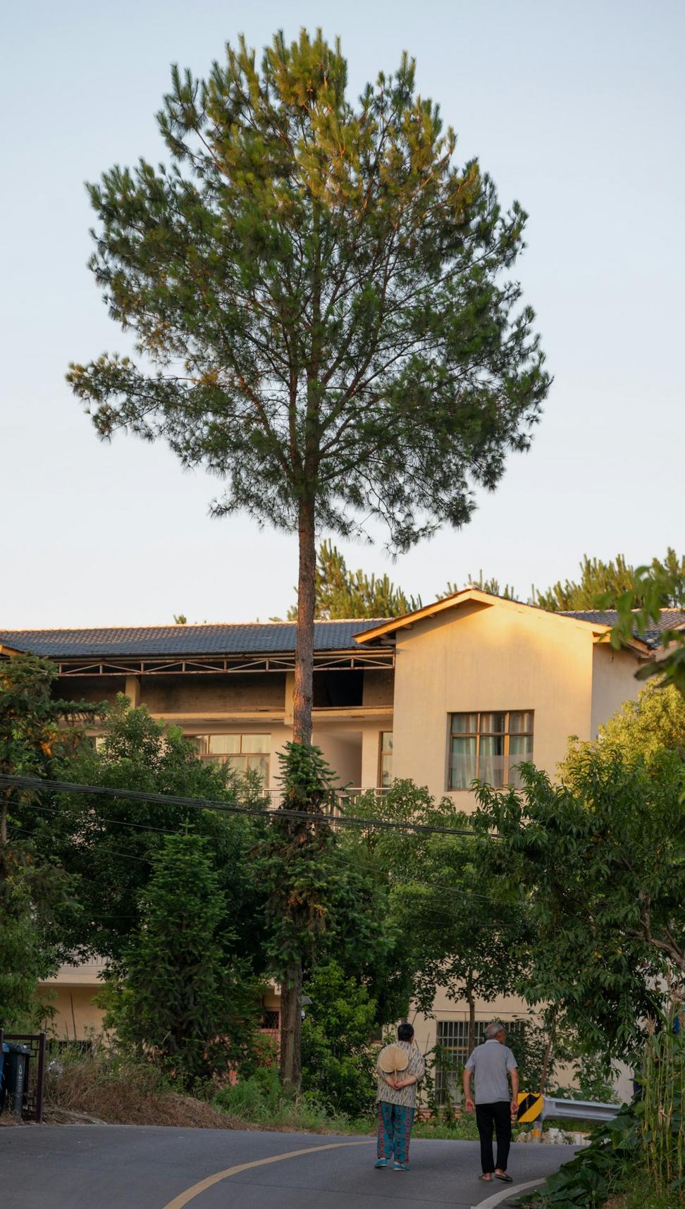 Kitsilano Green Home